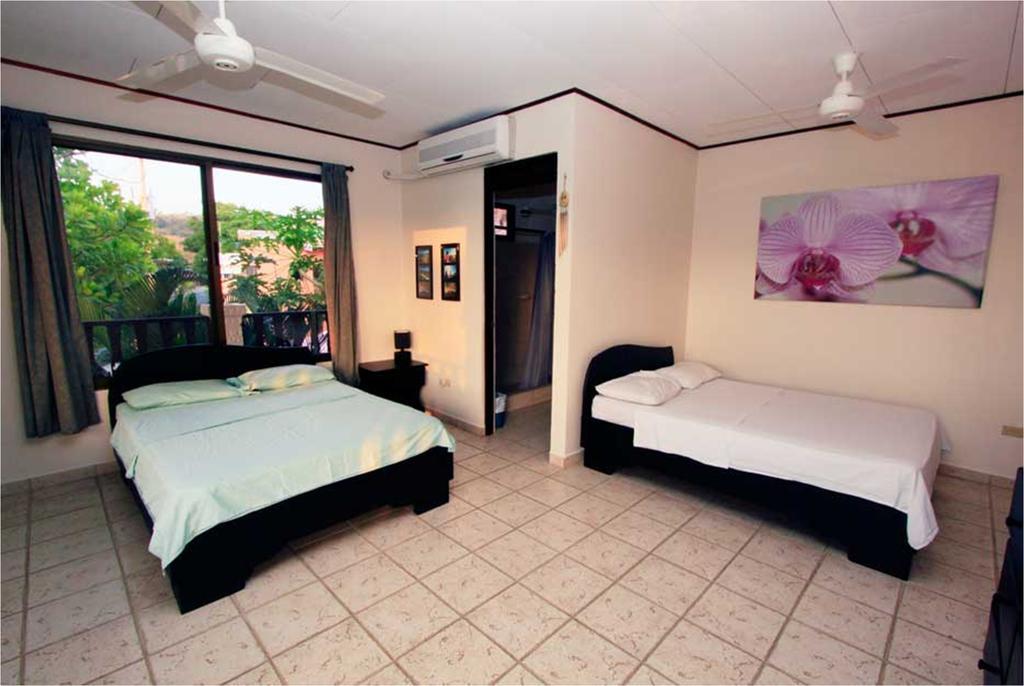 Blue Palm Hotel 자코 외부 사진