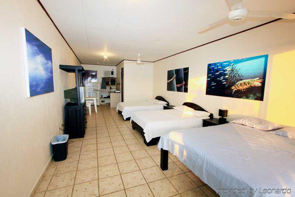 Blue Palm Hotel 자코 객실 사진